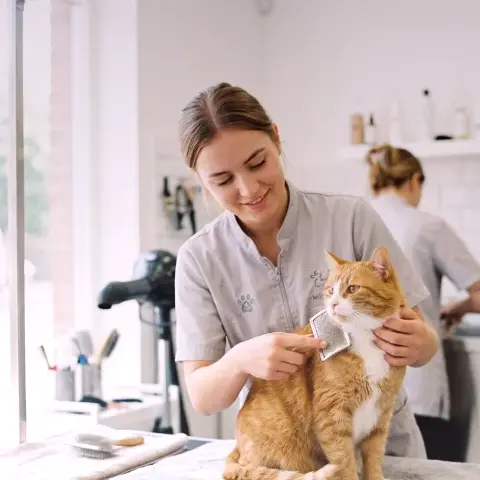 Hain Clay – Beratungsgespräch